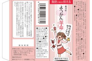 駿河屋ようかん革命パッケージ第一弾