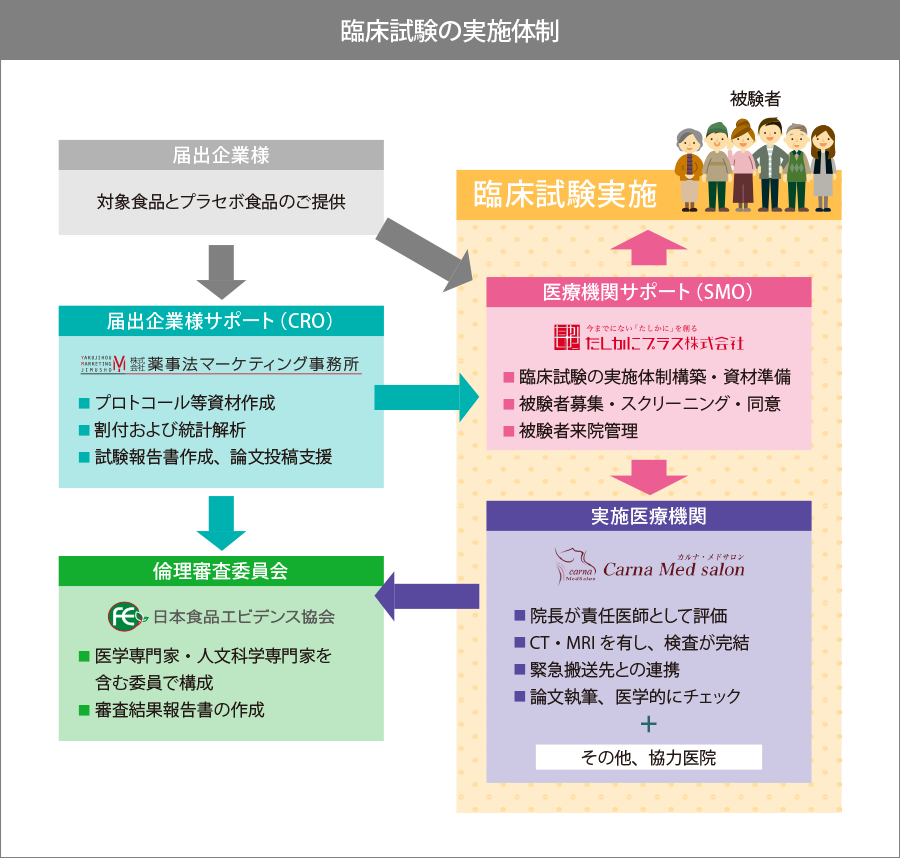 臨床試験の実施体制